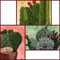 Cactus Triptych Framing